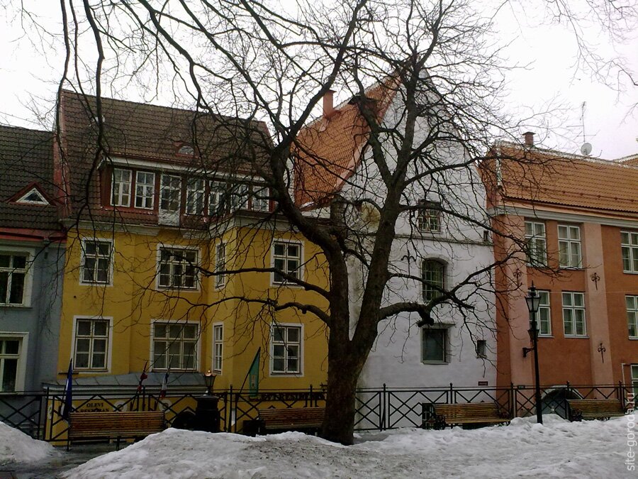 Таллин желтый дом